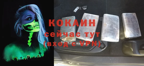 дживик Арсеньев
