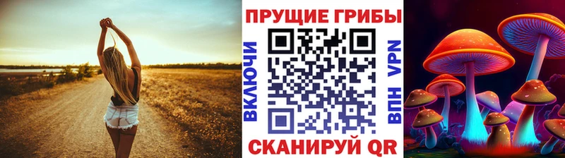 блэк спрут ONION  darknet как зайти  Галлюциногенные грибы прущие грибы  цены   Наволоки 